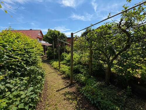 Hochbeete - 