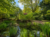 Gartenteich - 