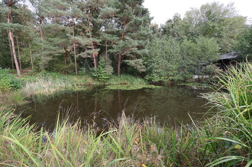 IMG_0107 - 13 Zimmer Zweifamilienhaus zum Kaufen in Diepenau