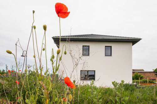 Das Baugebiet - Grundstück in Lützen