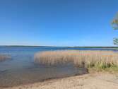 Muldenstausee - 