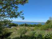 Muldenstausee - Charmantes Grundstück mit historischem Potenzial