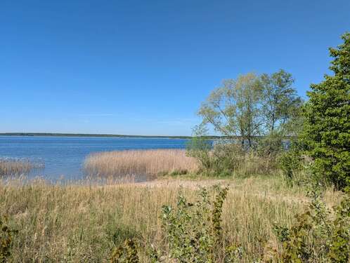 Großer Goitzschesee - 