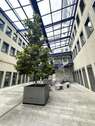 Innenhof Ansicht 2 - 