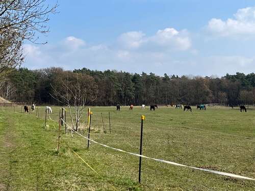 Umgebung Pferdekoppel - 