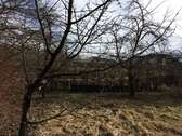 Streuobstwiese - 