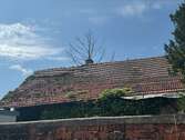 Ansicht Dach - 