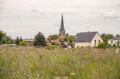 Blick nach Lützen - 