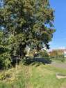 Umgebung - 