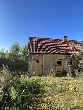 Schuppen - 