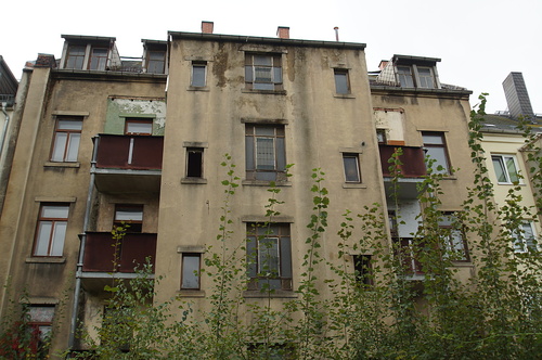 gartenseitige Ansicht - Mehrfamilienhaus, Wohnhaus zum Kaufen in Chemnitz