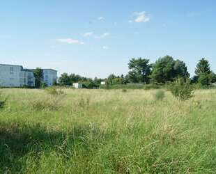 bis 8.200 m² BGF großes Baugrundstück für Geschossbau, WOHNEN & GEWERBE - Kabelsketal Bundesweit - Sachsen-Anhalt - Saalekreis - Kabelsk