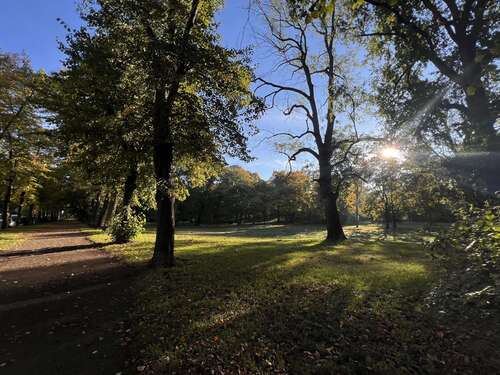Clara-Zetkin-Park - 