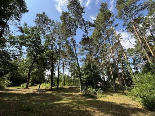 Blick über das Grundstück - Grundstück zum Kaufen in Muldestausee