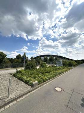 Arena - 