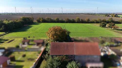 Blick Rückseite - 