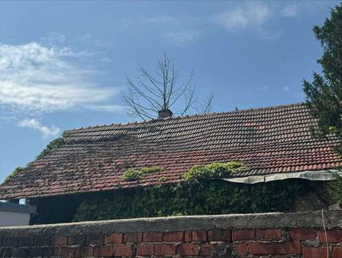 Ansicht Dach - 
