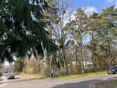 Umgebung alter Baumbestand - 