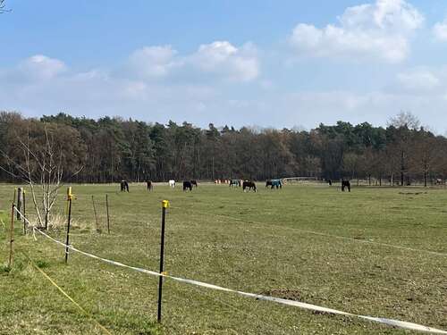 Umgebung Pferdekoppeln - 