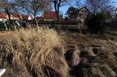 Straßenseitiger Garten - 