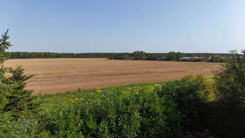 Blick aufs Feld - 