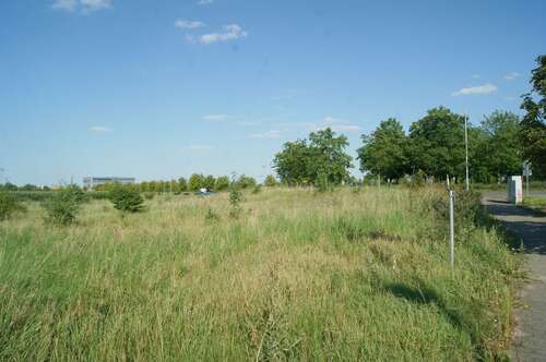 Baufeld 8 - Grundstück zum Kaufen in Kabelsketal