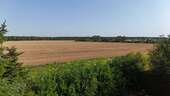 Blick aufs Feld - 