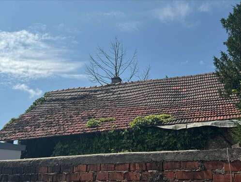 Ansicht Dach - 