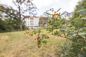 Umgebung Möbiusplatz - 