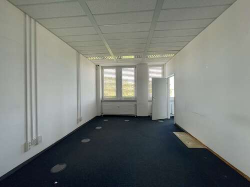 Zimmer - 
