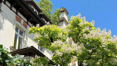 Detail - +++ Einzelstück in Bestlage: Denkmalgeschützte Jugendstilvilla mit Grünanlage und Stellplätzen +++