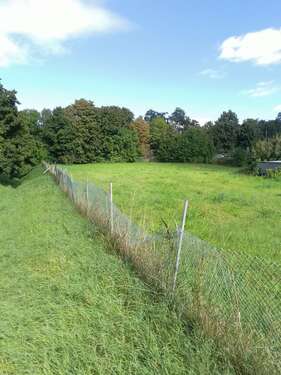 Seitenansicht - 