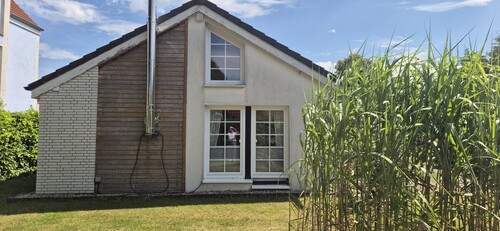 Fenster Wohnzimmer - 