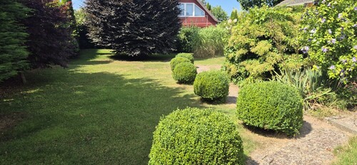 Garten - 3 Zimmer Einfamilienhaus in Schönberg (Holstein) / Schönbergerstrand