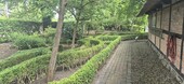 Bauerngarten - 