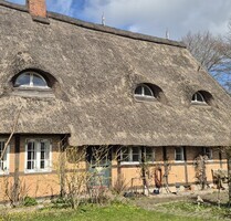Einzigartiges Reetdach-Idyll von 1815 am Feldrand in Strandnähe - Brodersdorf