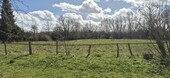 Blick nach hinten - 