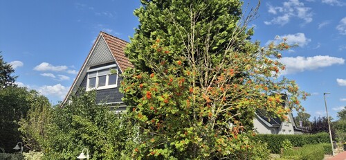 Giebelseitwe - 
