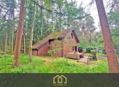 Foto - 6.503 m² Naturparadies an der Hunte – Wochenendhaus in traumhafter Waldlage