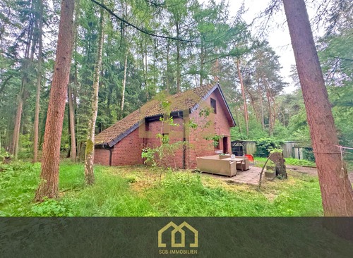 Foto - 6.503 m² Naturparadies an der Hunte – Wochenendhaus in traumhafter Waldlage