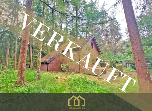 Foto - 6.503 m² Naturparadies an der Hunte – Wochenendhaus in traumhafter Waldlage