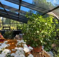Haus mit Wintergarten, 3 Garagen, Platz für Kinder und Hobbys - Kottmar