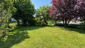 Wiese - 
