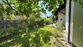 Wein - 