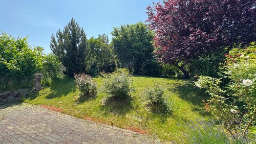 Wiese 4 - 