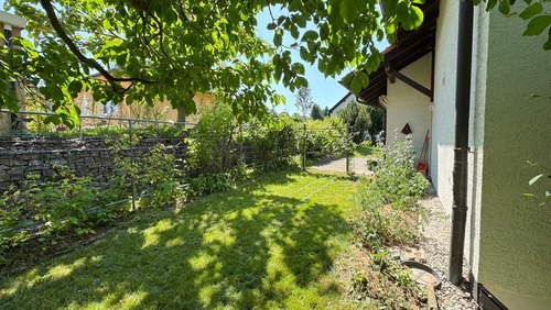 Wein - 