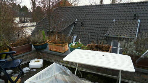 Dachterrasse - 