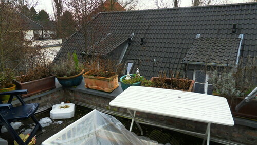 Dachterrasse - 