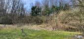 Ansicht Garten nebst Wald - 
