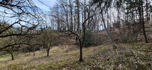 Ansicht Garten nebst Wald - 
